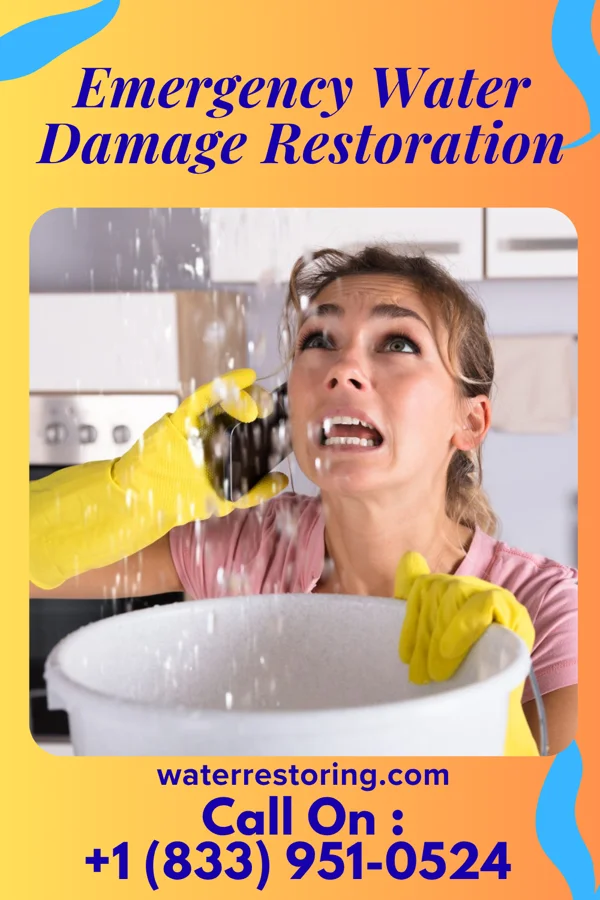 Emergency Water Damage Restoration in Sutton, WV