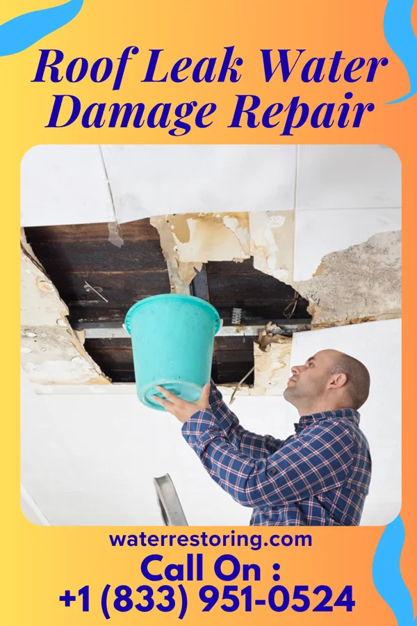 Roof Leak Water Damage Repair in Sutton, WV