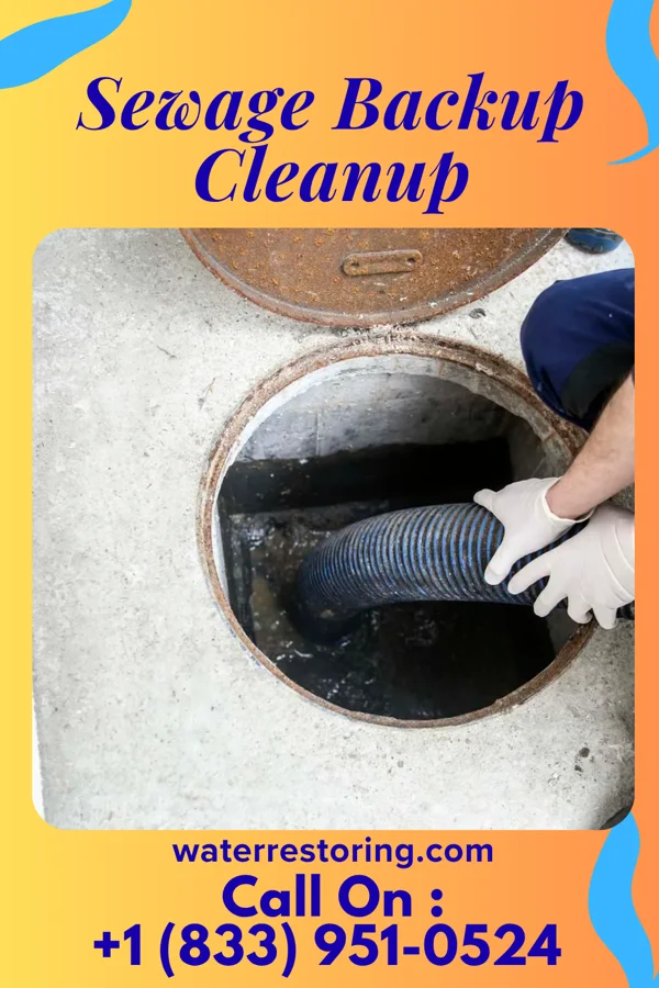Sewage Backup Cleanup in Sutton, WV
