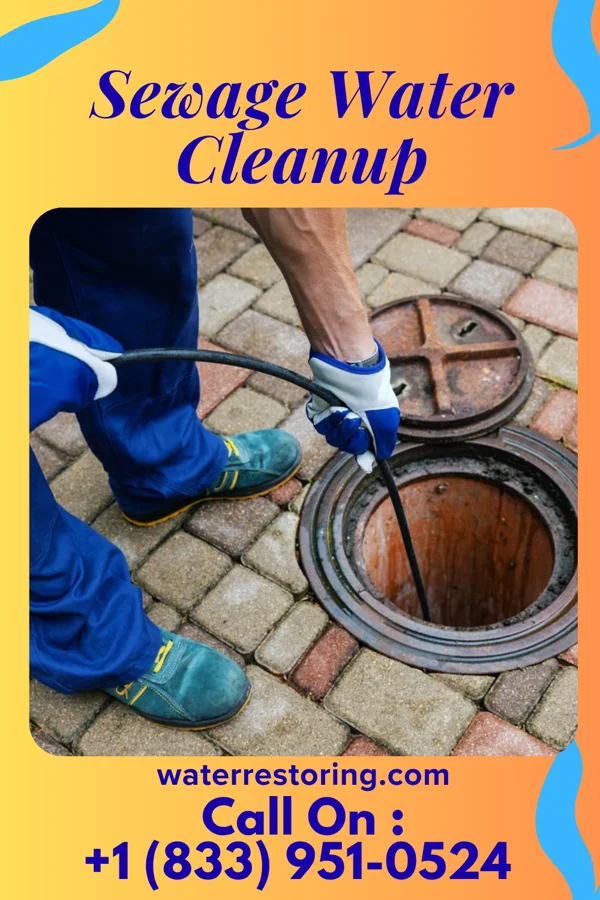 Sewage Water Cleanup in Sutton, WV